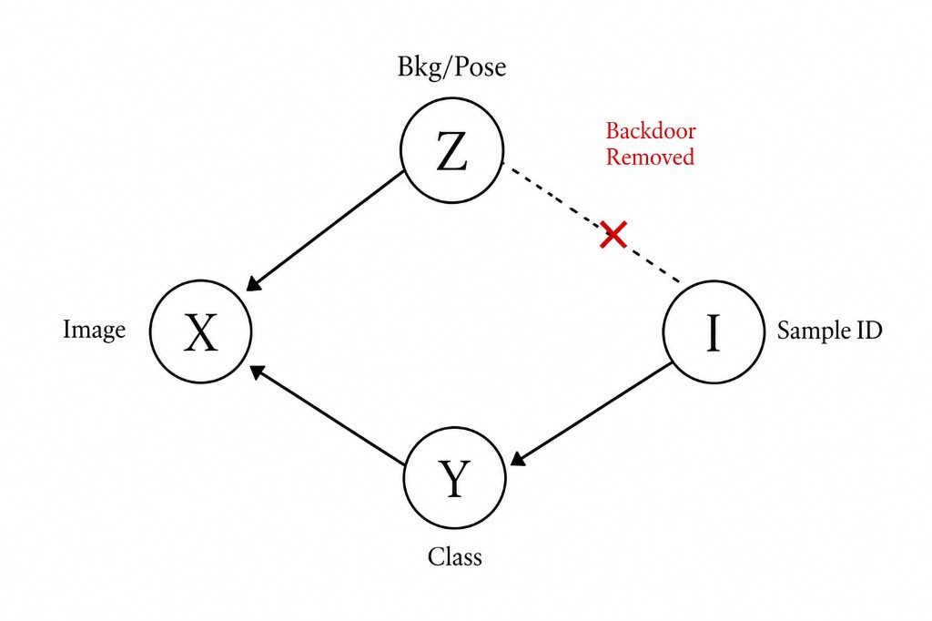 Beyond Objects — causal graph with backdoor removed thumbnail